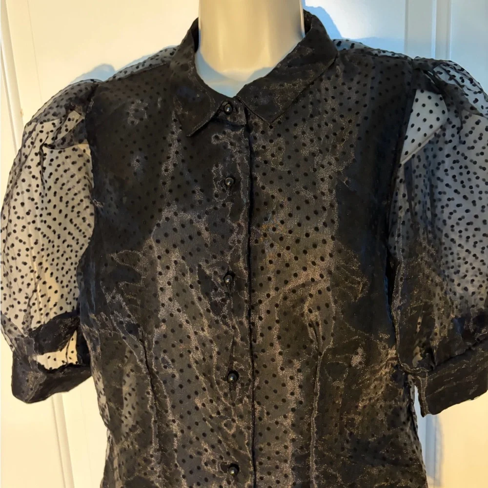 Black Polka Dot Sheer Blouse.
NWOT - Picture 1 of 8